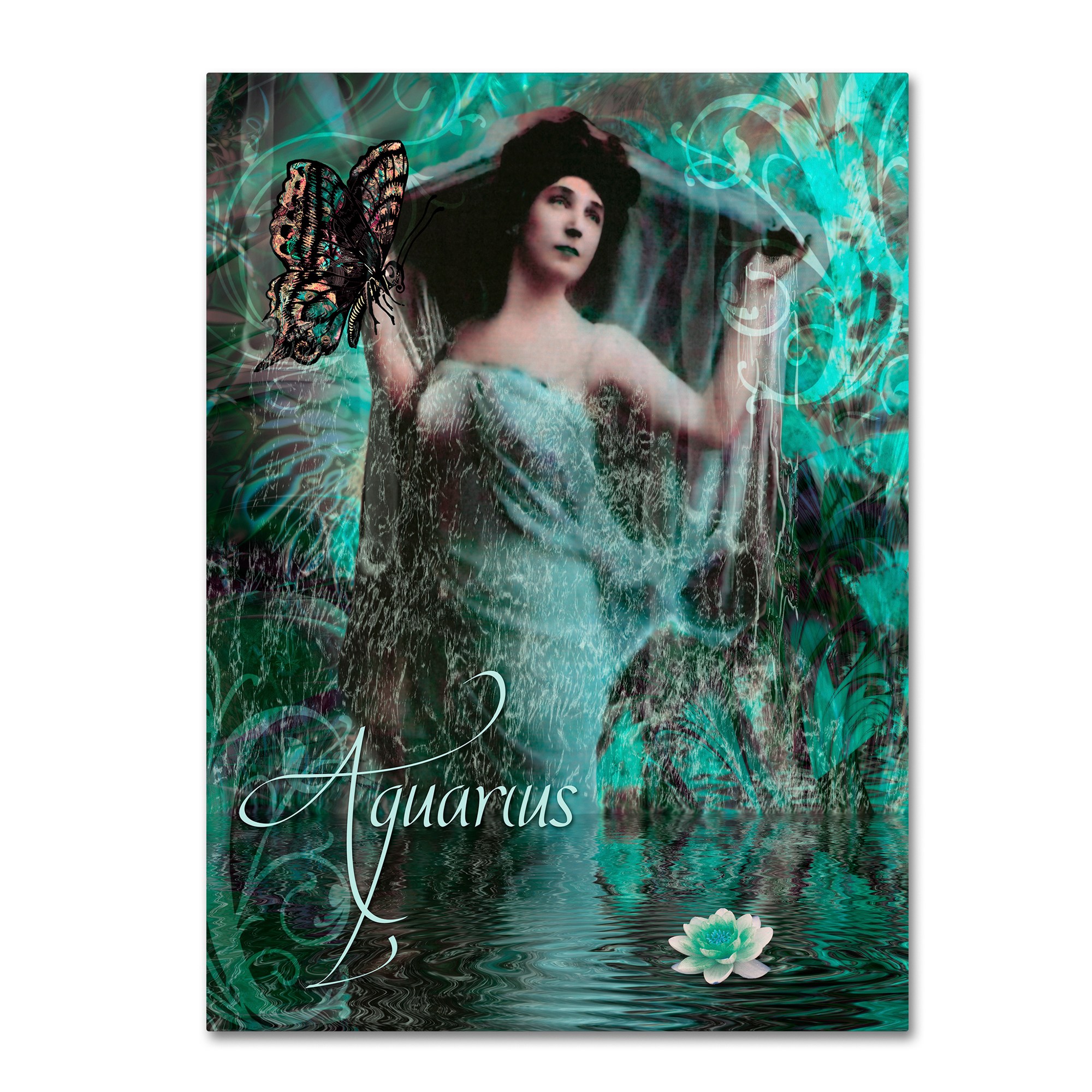 Trademark Fine Art "Art Nouveau Zodiac Aquarius" Canvas Art by Color Bakery