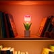 thumbnail image 5 of Cheapark Preserved Florals Night Light Mini Ambient Lamp Soft Glow for Gift Home Accents Valentine's Day Festive Romantic Decorat ion, 5 of 7