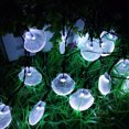 thumbnail image 5 of Dinheiro Cadena de Luces Solares 30LED 21 pies Luces de Cadena de Hadas para jardín Patio Porche Fiesta de Bodas, 5 of 5