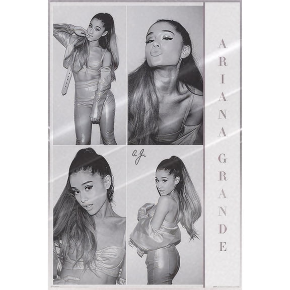 Ariana Grande - Music Personality Poster (B&W Photo Montage) (Size: 24" x 36") (Laminated Poster)