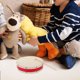 thumbnail image 4 of Pandereta de juguete para niños, panderetas de percusión para niños pequeños, instrumentos musicales de percusión de mano, 4 of 6