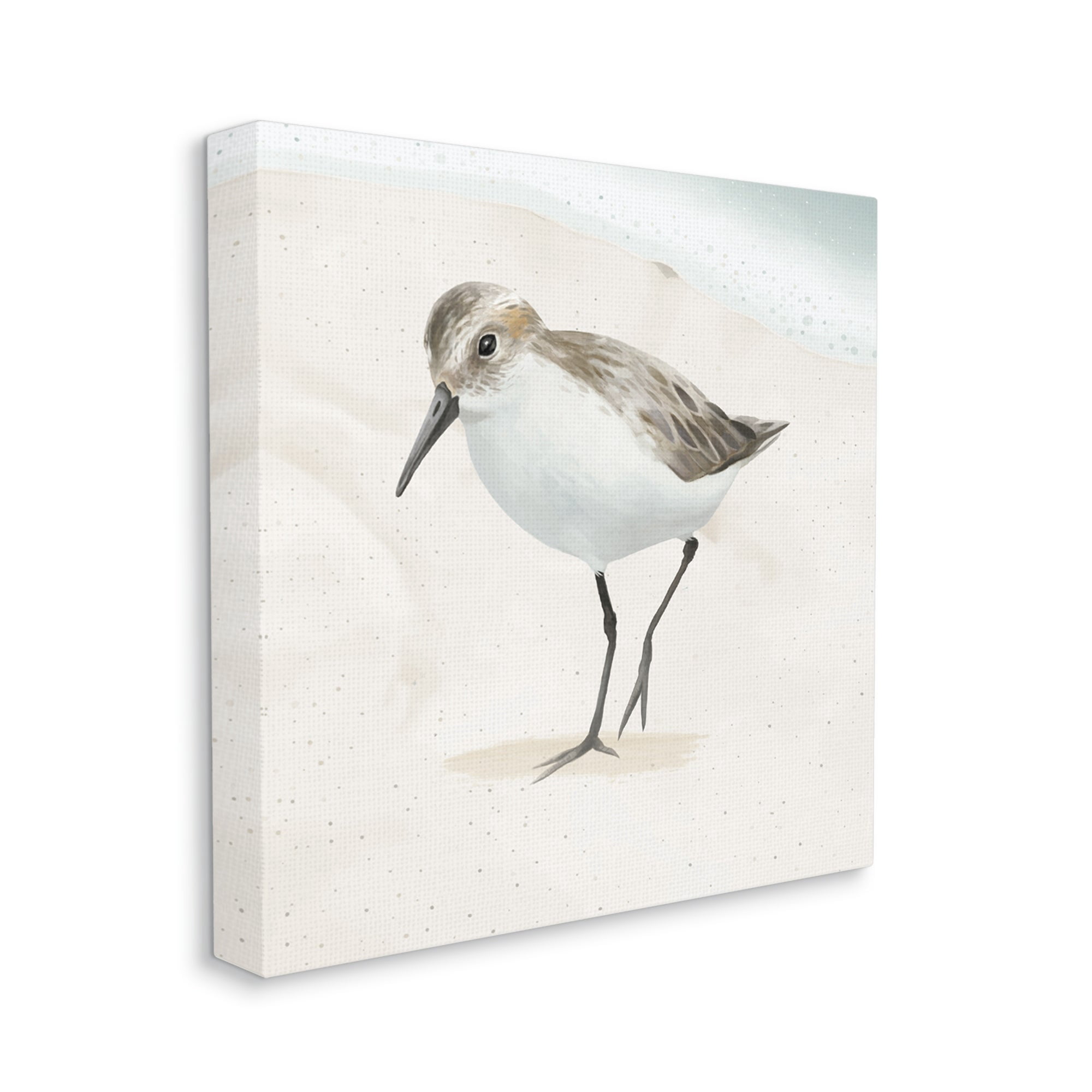 Stupell Industries Stepping Sandpiper Bird Ocean Shoreline Beach Scene Graphic Art Gallery Wrapped Canvas Print Wall Art, Design by Lucca Sheppard