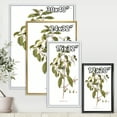thumbnail image 4 of Designart 'Ancient American Flora IV' Traditional Framed Canvas Wall Art Print, 4 of 5