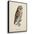 thumbnail image 3 of French Owls I - Framed Premium Gallery Wrapped Canvas L Frame 3 Piece Set - Ready to Hang, 3 of 9