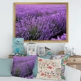 thumbnail image 3 of Designart 'Blooming Purple Lavender Meadow' Farmhouse Framed Art Print, 3 of 4