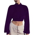 thumbnail image 2 of KIHOUT Women's 2023 Fall New High-neck Velvet Thin Sweater Slim Long Sleeve Shorts Cropped Navel Top, 2 of 7