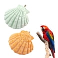 thumbnail image 4 of QUMIIRITY 2Ud Piedra De Moler Para Mascotas Con De Concha Color Surtido, 4 of 7