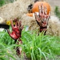 thumbnail image 5 of 2 Pack Scary Hands Lawn Stakes Halloween Decor Outdoor Garden Decor Zombie Graveyard Decor Perfect for House Party, Halloween Party, Garden Party, Outdoor Party (2D Flat), 5 of 8