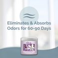 thumbnail image 2 of Gel absorbente de olores Clear Air, 450 ml, aroma a lavanda y vainilla, x2, 2 of 6