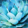 thumbnail image 4 of Gango Home Decor Modern Opulent Succulents I & II; Two 16x16in Fine Art Paper Giclee Prints, 4 of 6