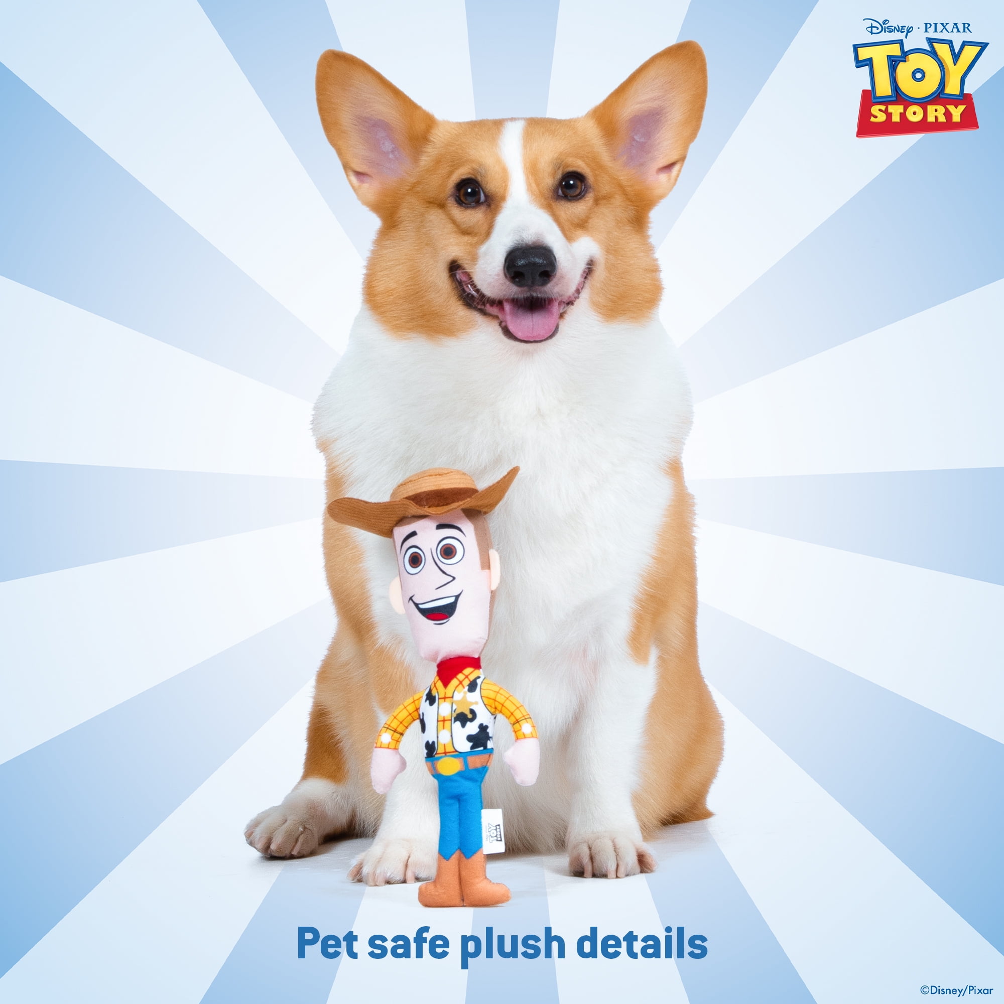 DISNEY TOY STORY: Woody Plush Figurine Squeaker Pet Toy-9in