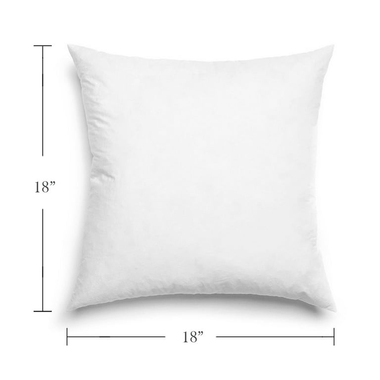 FBTS Prime Throw Pillow Insert 18x18 Inch 2 Pack Hypoallergenic