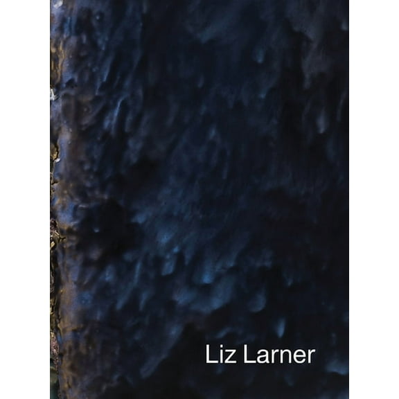 Liz Larner (Paperback)