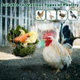 thumbnail image 6 of Clearance! Haidf Hanging Chicken Feeder, Foldable Chicken Vegetable Fruits Feeder with Hanging Chain, Poultry Feeding Holder Basket for Chicken Coop, Poultry Treat Feeding Tool, 9 Inch, 6 of 9