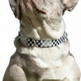 thumbnail image 5 of Oodles Polyester Checkerboard Adjustable Fashion Dog Collar, Multi-Colored, Large, 5 of 9