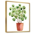 thumbnail image 3 of Designart 'Abstract Chinese Money Plant In Pot' Traditional Framed Canvas Wall Art Print, 3 of 5