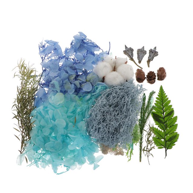 Flores prensadas secas reales Plantas naturales に 適用 Álbum de recortes, vela de bricolaje, fabricación de artesanías con colgante de joyería de resina Soledad flores de hojas secas naturales