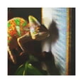 thumbnail image 1 of Veiled Chameleon Dreaming - Canvas, 1 of 10
