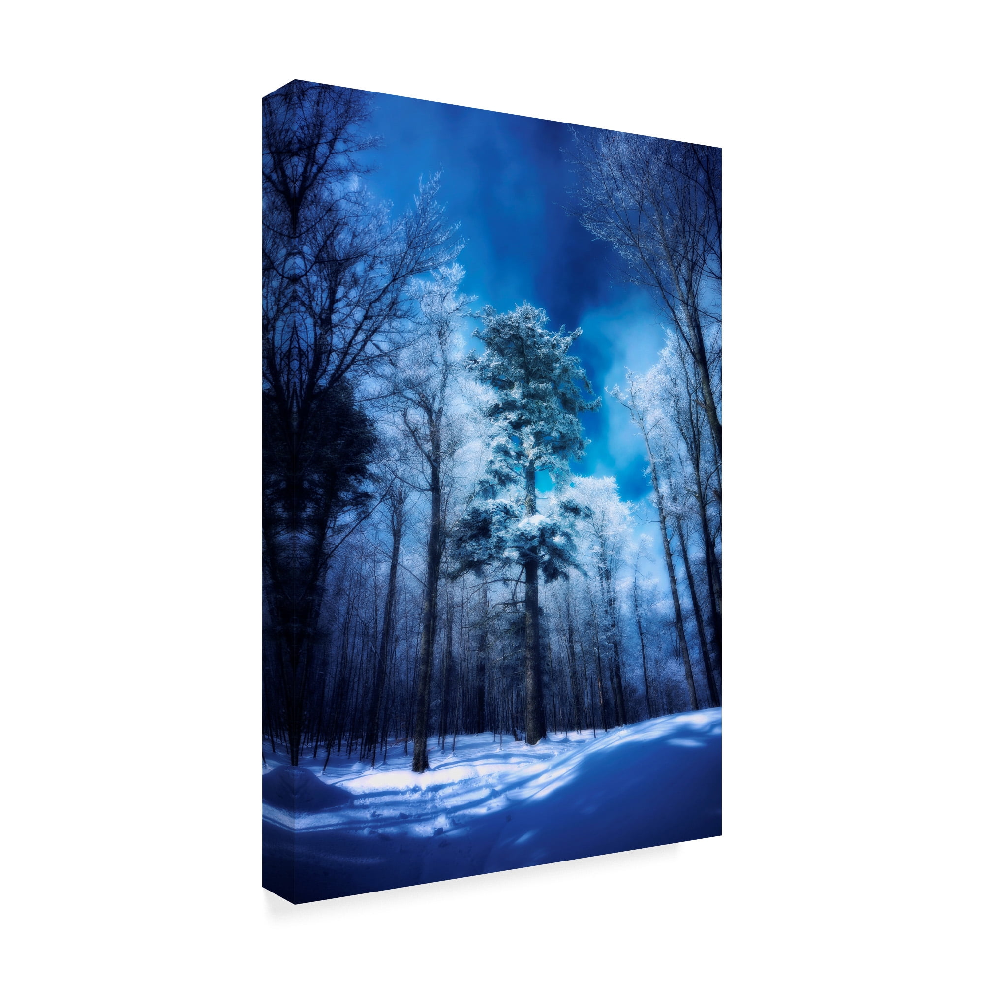 Trademark Fine Art 'The Blue Hours' Canvas Art by Philippe Sainte-Laudy