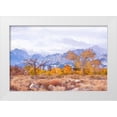thumbnail image 1 of Murdock, Ramona 18x13 White Modern Wood Framed Museum Art Print Titled - High Desert Vista IV, 1 of 4