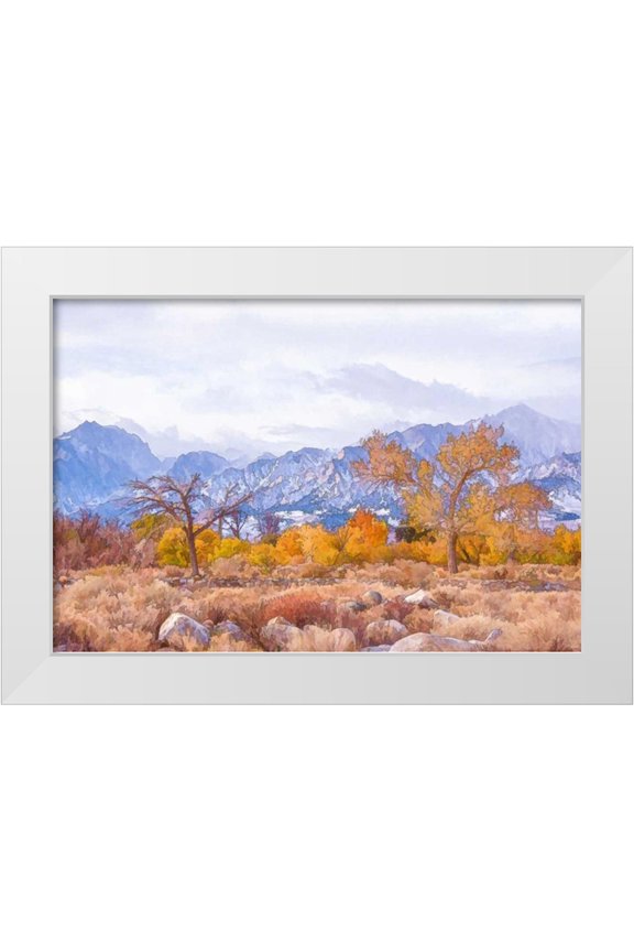 Murdock, Ramona 14x11 White Modern Wood Framed Museum Art Print Titled - High Desert Vista IV