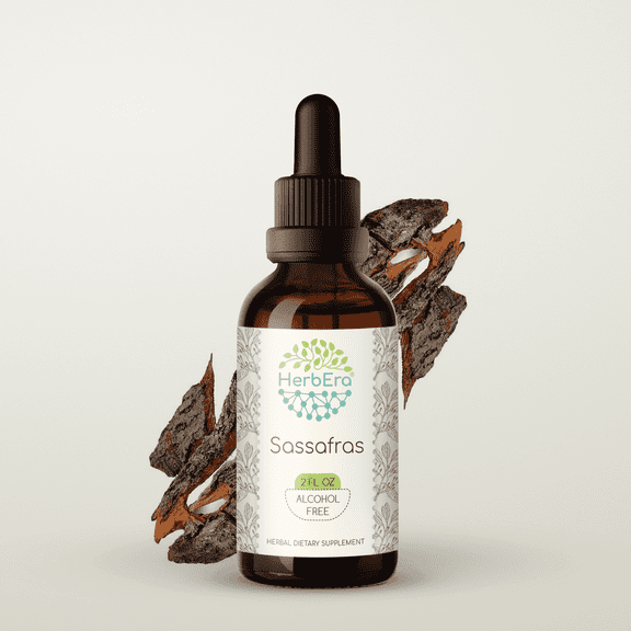 HerbEra Sassafras Tincture, Herbal Dietary Supplement for Optimal Herbal Support, Sassafras (Sassafras albidum) Dried Root Bark Extract, Natural, Alcohol-Free, Drops 2 oz