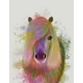 thumbnail image 2 of Fab Funky 15x18 Black Ornate Wood Framed with Double Matting Museum Art Print Titled - Pony 1 Portrait Rainbow Splash, 2 of 4