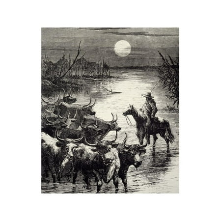 Herd Fording River in Texas, 1860, United States, 19th Century Print Wall