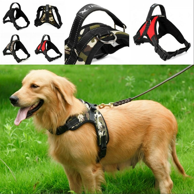 Dog leash clip types outlet