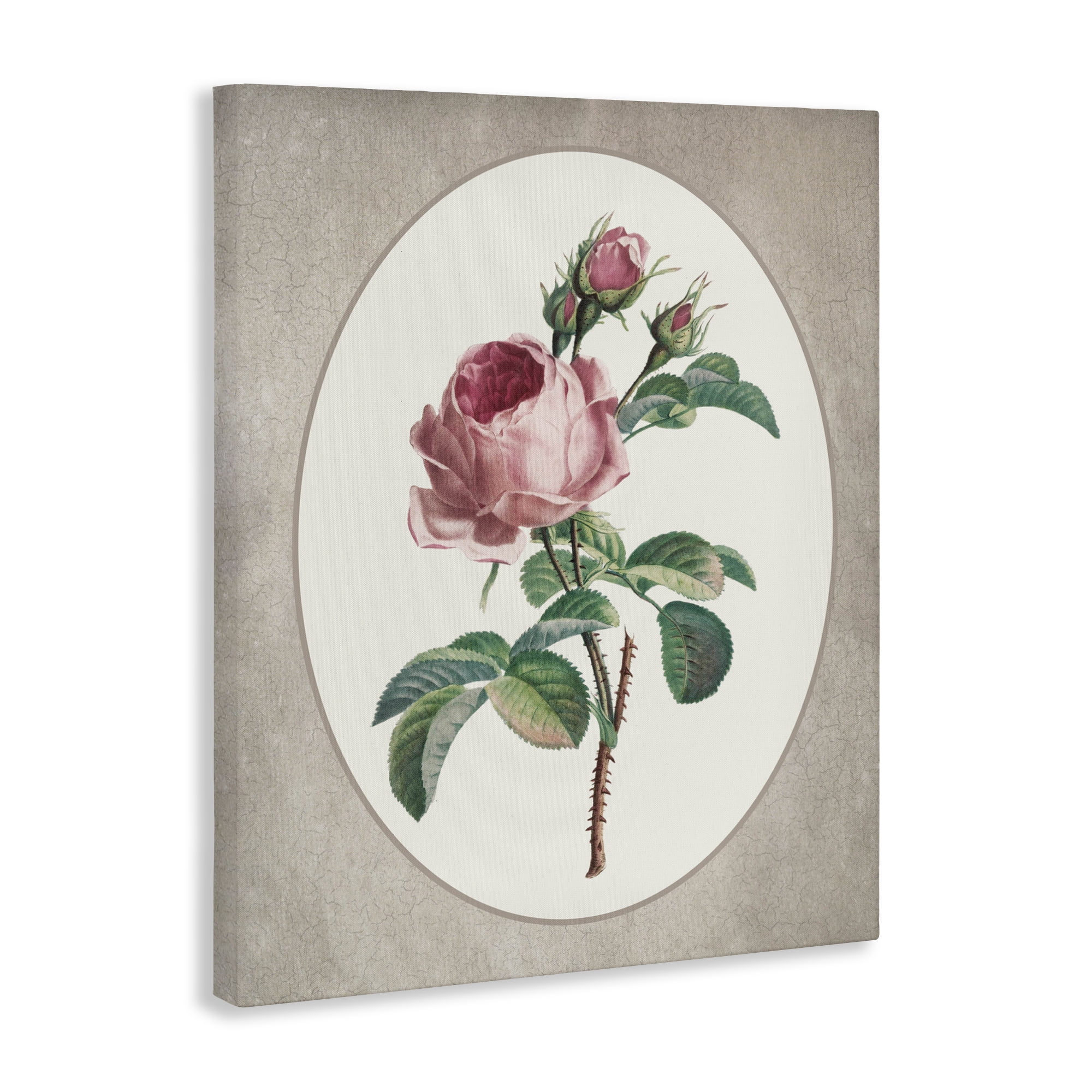 Vintage Rose within Oval Canvas Wall Art, design by Lettered and Lined