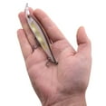 thumbnail image 4 of Berkley Krej Fishing Lure, Stealth Shad, 100, 4 of 6