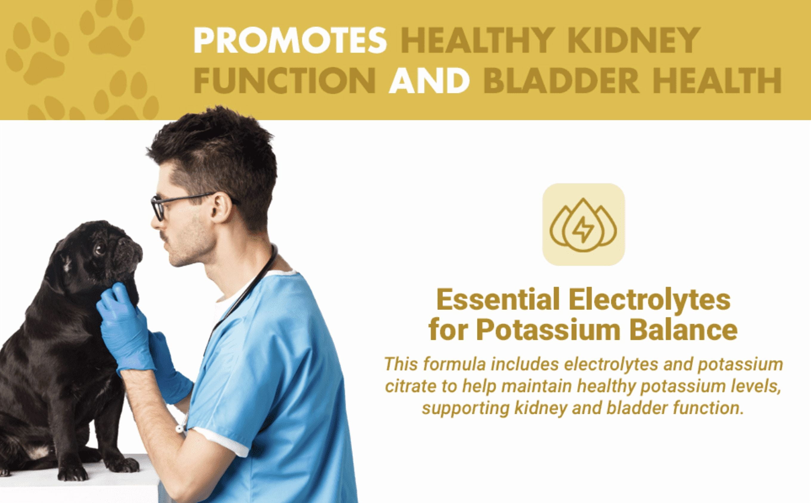 Liquid-Vet® K9 Kidney & Bladder Wellness Supplement for Dogs, Bacon Flavor, 16 fl oz