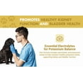 thumbnail image 4 of Liquid-Vet® K9 Supplément pour la Santé des Reins et de la Vessie pour Chiens, Saveur de Bacon, 16 fl oz, 4 of 8