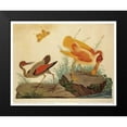 thumbnail image 2 of Raineri, Carlo, Vittorio 14x12 Black Modern Framed Museum Art Print Titled - Spoonbill and Fantasy Stork, 2 of 5