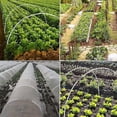 thumbnail image 5 of Garden Hoops for Netting, Crop Protection Hoops,Cloches for Growing Vegetables,Rust-Free Grow Tunnel, 5 of 5