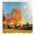 thumbnail image 3 of Ambesonne Nature Shower Curtain, Maple Tree in Autumn, 69"Wx84"L, Orange Blue, 3 of 5