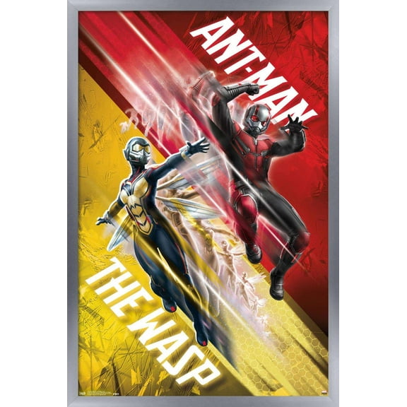Marvel Cinematic Universe - Ant-Man and the Wasp - Duo Wall Poster, 14.725" x 22.375", Framed