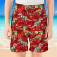 thumbnail image 4 of BOOMNY Toddler Boys Shorts Elastic Waist Shorts for Kids Cartoon Dinosaur Graphic Childrens Summer Shorts With Pocket, 4 of 4