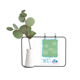 thumbnail image 1 of Línea de planta de flor de flor de loto Jarrones colgantes de vidrio transparente Decoración Botella, 1 of 4
