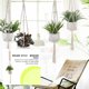 thumbnail image 5 of Yuarrent Cestas colgantes 100 hechas a mano, soporte para plantas, macramé, colgador de plantas, maceta para colgar en la pared interior, soporte para Jardín y Patio No.36 Yuarrent HA001777-36, 5 of 6