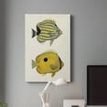 thumbnail image 5 of Yellow & Grey Fish III Premium Gallery Wrapped Canvas - Ready to Hang, 5 of 7
