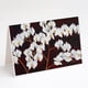 thumbnail image 1 of Orchids by Ferris Hotard - Paquete de 8 sobres y tarjetas de felicitación Caroline's Treasures FHC1003GCA7P, 1 of 1