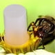 thumbnail image 3 of 2/3/4 piezas de comedero de agua para abejas, colmena de abejas, dispensador de agua de plástico para abejas, dispensador de agua potable para entrada de abejas, dispensador de agua para, 3 of 6