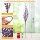 thumbnail image 2 of Ramo de jazmines Wootkey con flores artificiales, 5 unidades, 75 cm, color morado, 2 of 9