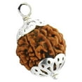 thumbnail image 5 of Petrichor Original 5 Faced Rudraksha Bead with Silver Capping (5 Mukhi with Certificate), 5 of 5