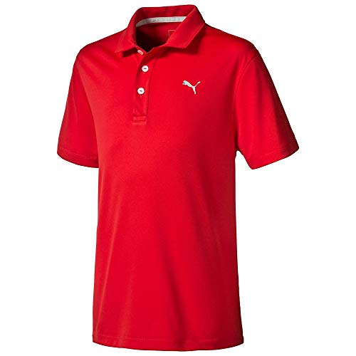 puma pounce polo
