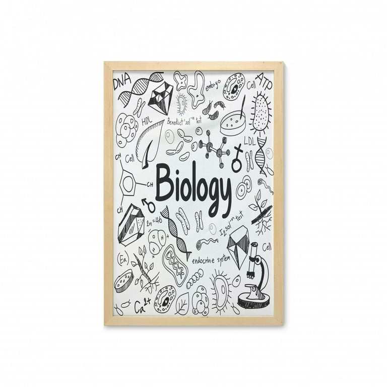 Biology Wall Art With Frame, Doodle Hand-Writing Elements Molecules  Bacteria Chemistry Lab, Printed Fabric Poster For Bathroom Living Room  Dorms, 23