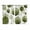 Green, variant on Orange Marble Kitchen Curtains Small Short 39 Inch Length, Gold White Geometric Hexagon Modern Grommet Top Bedroom Living Room Curtains, Light Filtering Cafe Curtain Drapes 2 Panels Set 55''x39''