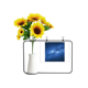 thumbnail image 1 of Fortuna, belleza, fortuna. Tarjeta de bendición de jarrón de girasol artificial, 1 of 3