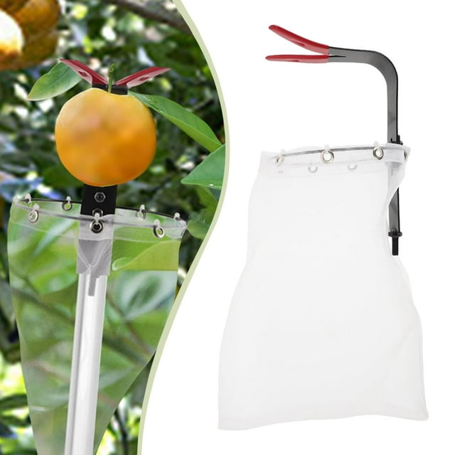 Cabezal recolector de frutas, fácil de instalar, herramienta de jardinería multifunción para recoger melocotones, arándanos, naranjas y ciruelas.